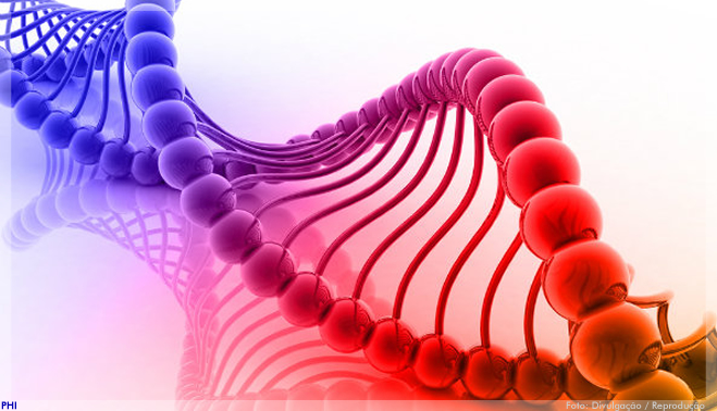 Cientistas transformam DNA de bactérias em ‘HD natural’ para armazenar informações