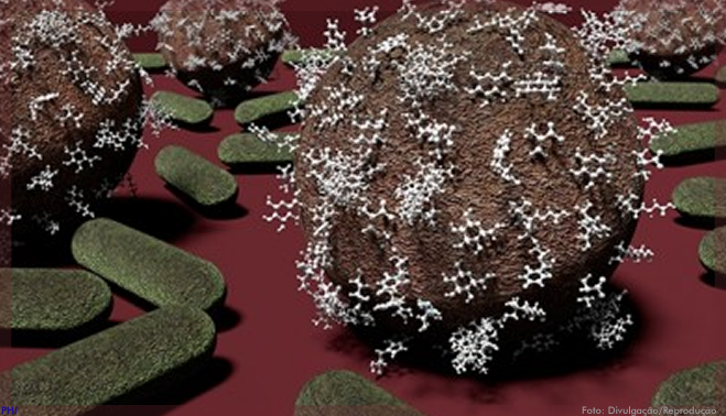 Pesquisa investiga como nanopartículas podem eliminar bactérias com mais eficiência