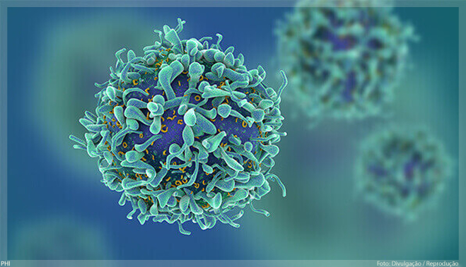 Novo tratamento para carcinomas renais é aprovado no Brasil