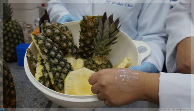 Brasileiros desenvolvem curativo à base de abacaxi com alto poder cicatrizante