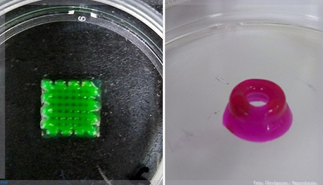 Grupo desenvolve biotinta para impressão 3D de tecido nervoso
