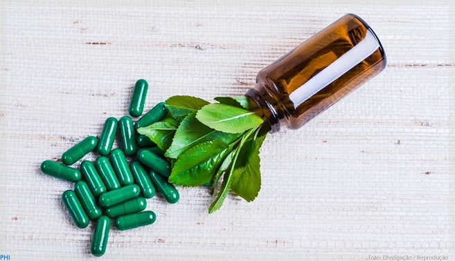 Projeto prevê prioridade para compra de medicamentos fitoterápicos pelas farmácias do SUS