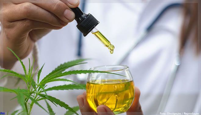USP participa de rede que investiga efeitos terapêuticos dos canabinoides