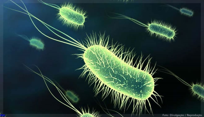Toxinas de bactérias podem ser usadas para destruir as bactérias