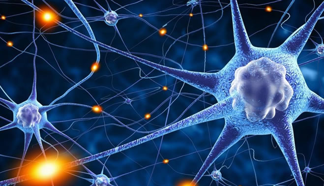 Cientistas criam neurônios que podem ser integrados ao cérebro