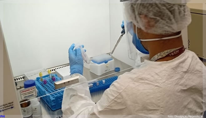 Novas moléculas associadas à hiperinflamação na COVID-19 são identificadas