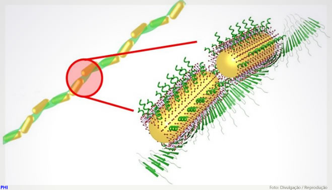 Material nanotecnológico pode ajudar no diagnóstico e tratamento de doenças como Alzheimer e Parkinson