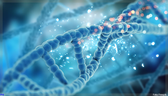 Bayer compra a americana Vividion Therapeutics por quase US$ 2 bilhões