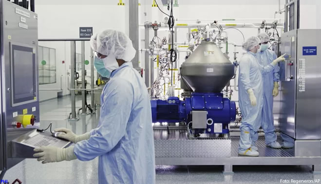 Coquetel de anticorpos da Regeneron pode prevenir covid por até 8 meses