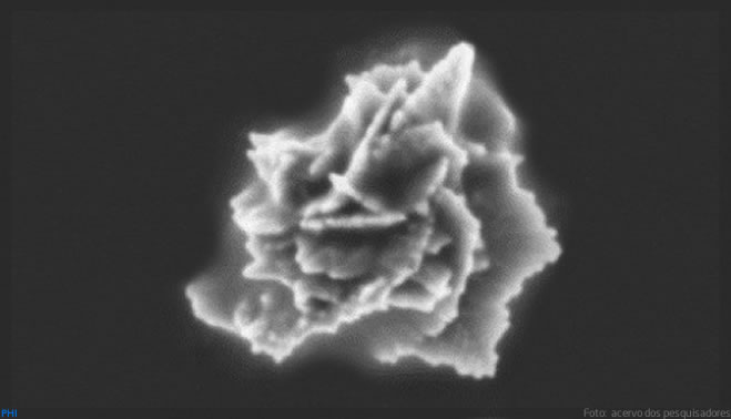 Grupo da USP desenvolve nanomateriais para diagnóstico e tratamento direcionado de tumores