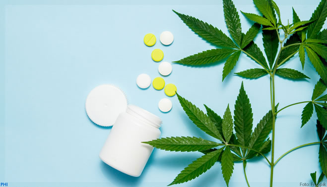 Farmácia pode manipular cannabis sem restrição