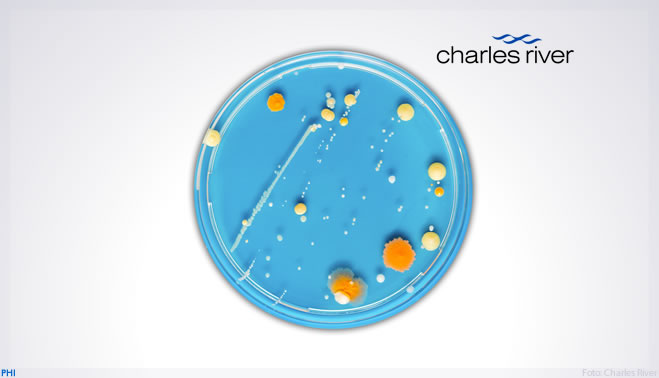 Charles River Brasil lança Identificação Microbiana em 24 horas