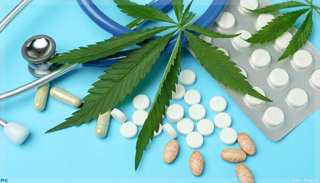 Farmacêuticas de cannabis apostam que 2022 será ‘o’ ano