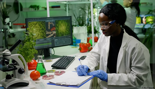 Farmacêuticos estudam as plantas medicinais mais utilizadas no Pará