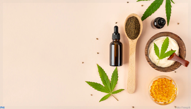 Cannabis medicinal: o que os americanos pensam sobre o uso