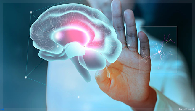 Cientistas usam simulação computacional para desenhar uma vacina contra Alzheimer