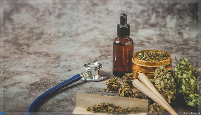 Cinco pontos positivos e negativos do mercado de cannabis medicinal no Brasil