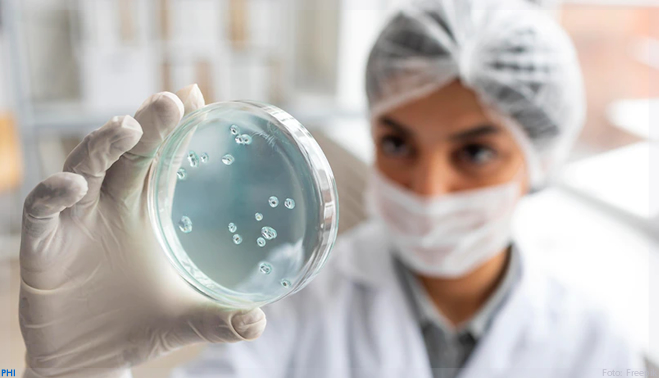 Vírus podem ser a solução para combater a resistência antibacteriana