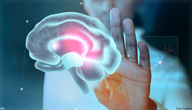 Alzheimer: estudo identifica a região do cérebro em que a doença começa a se desenvolver