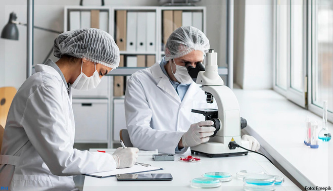 Cientistas apostam em abordagens inovadoras na busca de vacinas contra dengue e zika