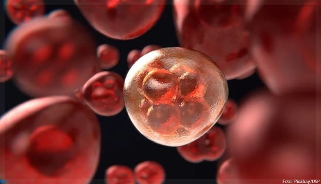 No futuro, tratamento contra o câncer deve combinar dois tipos de imunoterapia, sugere estudo
