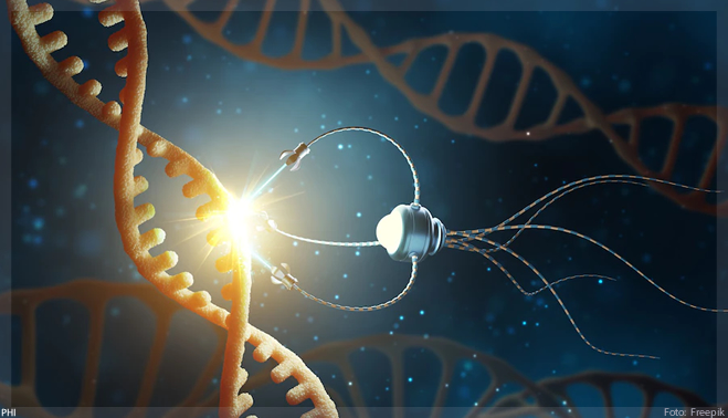 Cientistas usam nanorrobô feito de DNA para explorar células