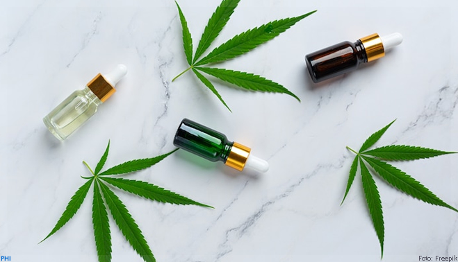 Anvisa freia expansão de farmácias de cannabis no Brasil
