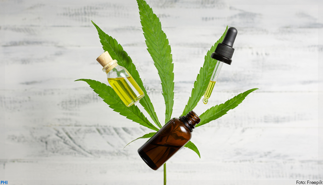 Cannabis: idoso tem reversão de sintomas do Alzheimer com óleo da planta