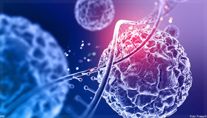 SARS-CoV-2 altera o RNA das células infectadas, revela estudo