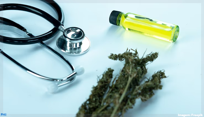 O futuro da cannabis medicinal e seu potencial para revolucionar o setor farmacêutico