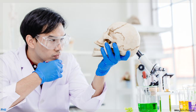 Biomaterial desenvolvido na Unesp se mostra capaz de acelerar a regeneração óssea