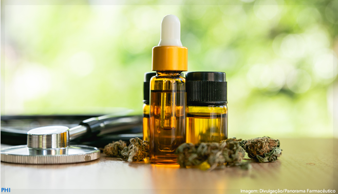 Estado aprova cannabis medicinal gratuita