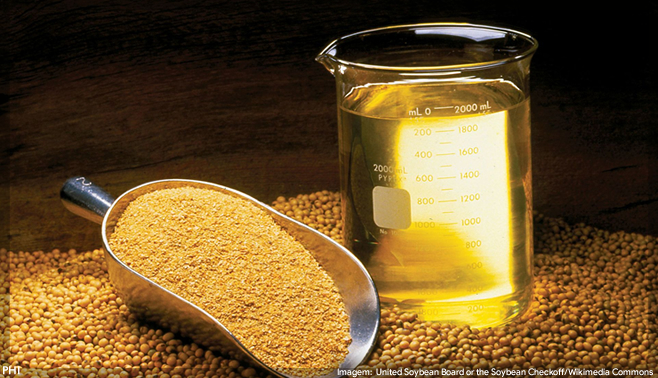 Resíduos da produção de óleo de soja podem gerar produto que ameniza efeitos da menopausa